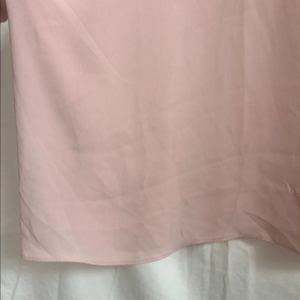 Pale Pink Sheer Women's Top by Lane Bryant - Picture 7 of 11